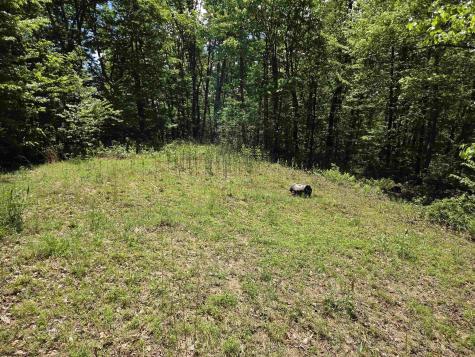 1271 Big Mill Run Road Parsons WV 26287