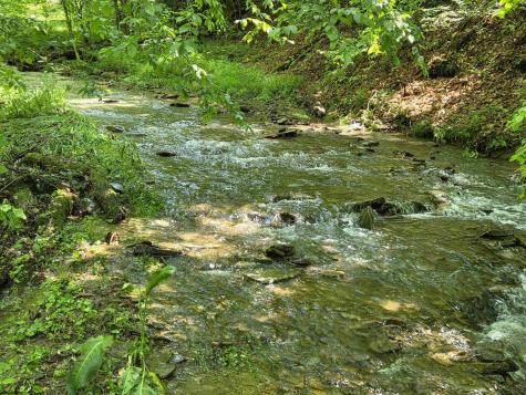 1271 Big Mill Run Road Parsons WV 26287