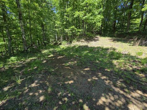 1271 Big Mill Run Road Parsons WV 26287