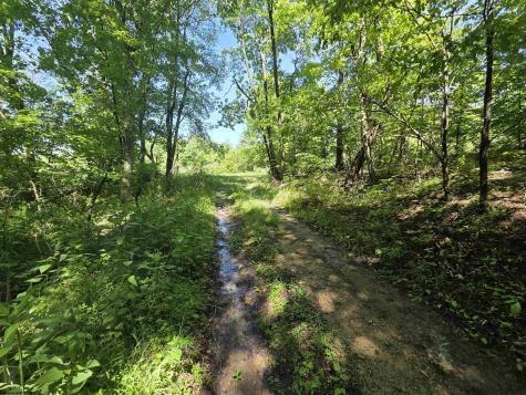 1271 Big Mill Run Road Parsons WV 26287