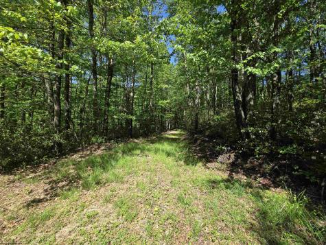 1271 Big Mill Run Road Parsons WV 26287