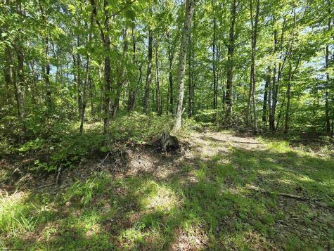 1271 Big Mill Run Road Parsons WV 26287