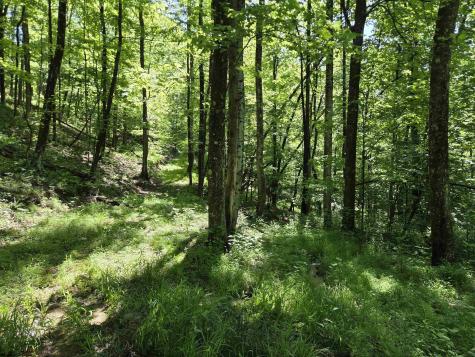 1271 Big Mill Run Road Parsons WV 26287