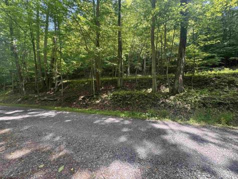1050 Mcgee Lane Volga WV 26238