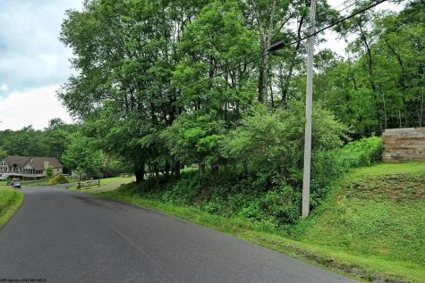 2 E Alpine Drive Terra Alta WV 26764