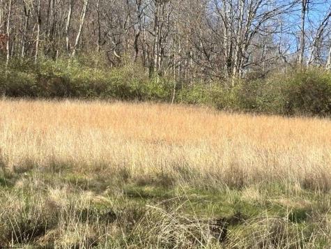 0 Planing Mill Street Belington WV 26250