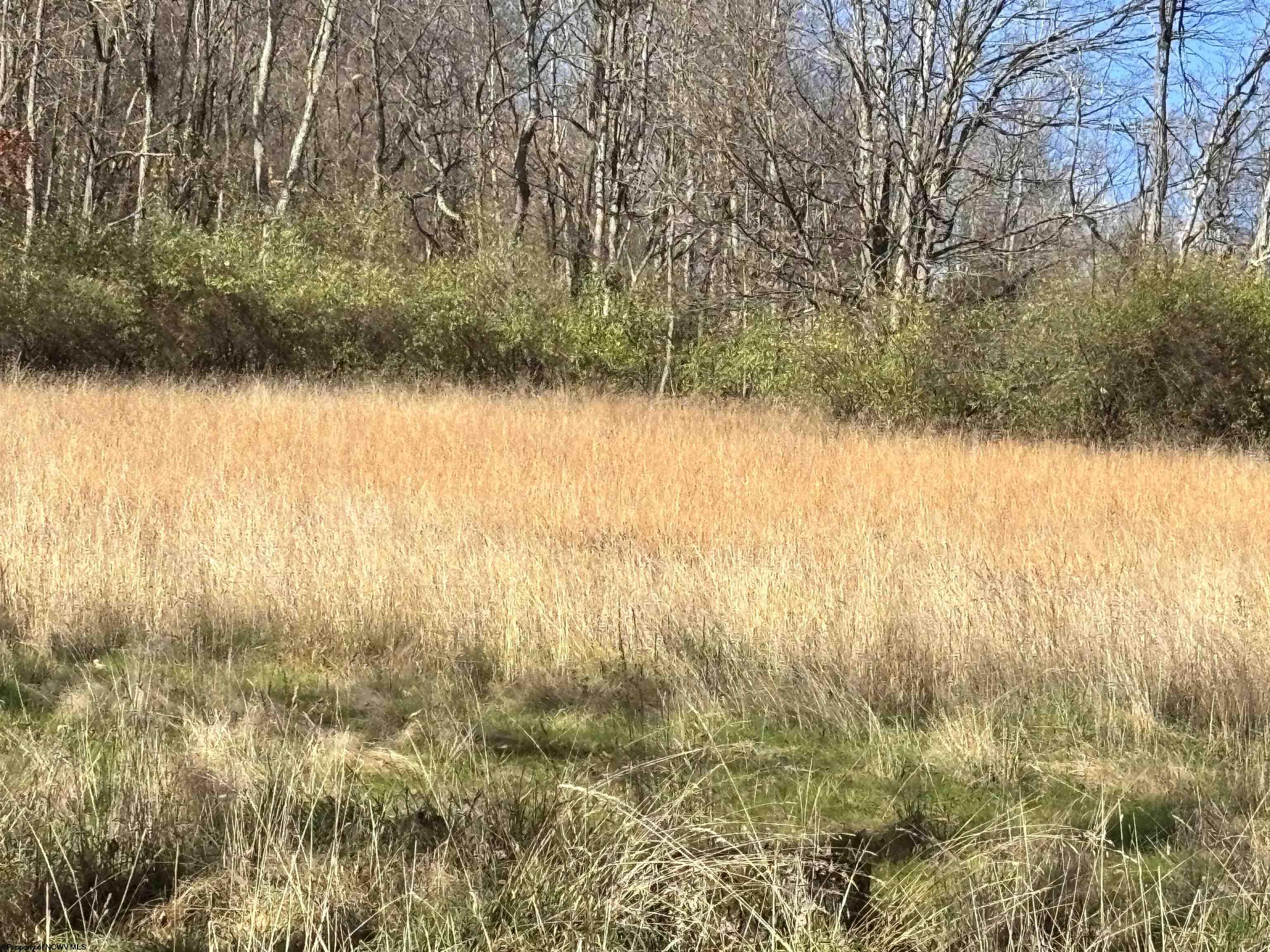 0 Planing Mill Street Belington WV 26250