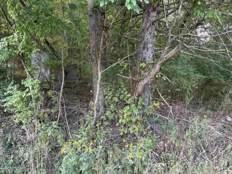 0 Planing Mill Street Belington WV 26250