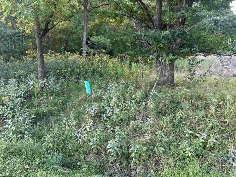 0 Planing Mill Street Belington WV 26250