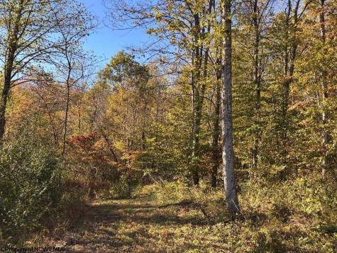 22 Island Road Junior WV 26275