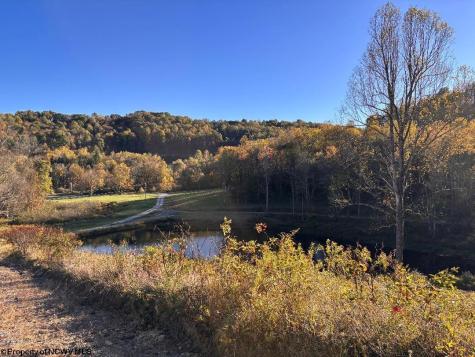 22 Island Road Junior WV 26275