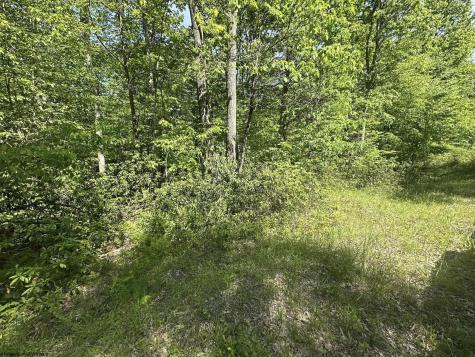 65 Pine Drive Terra Alta WV 26764