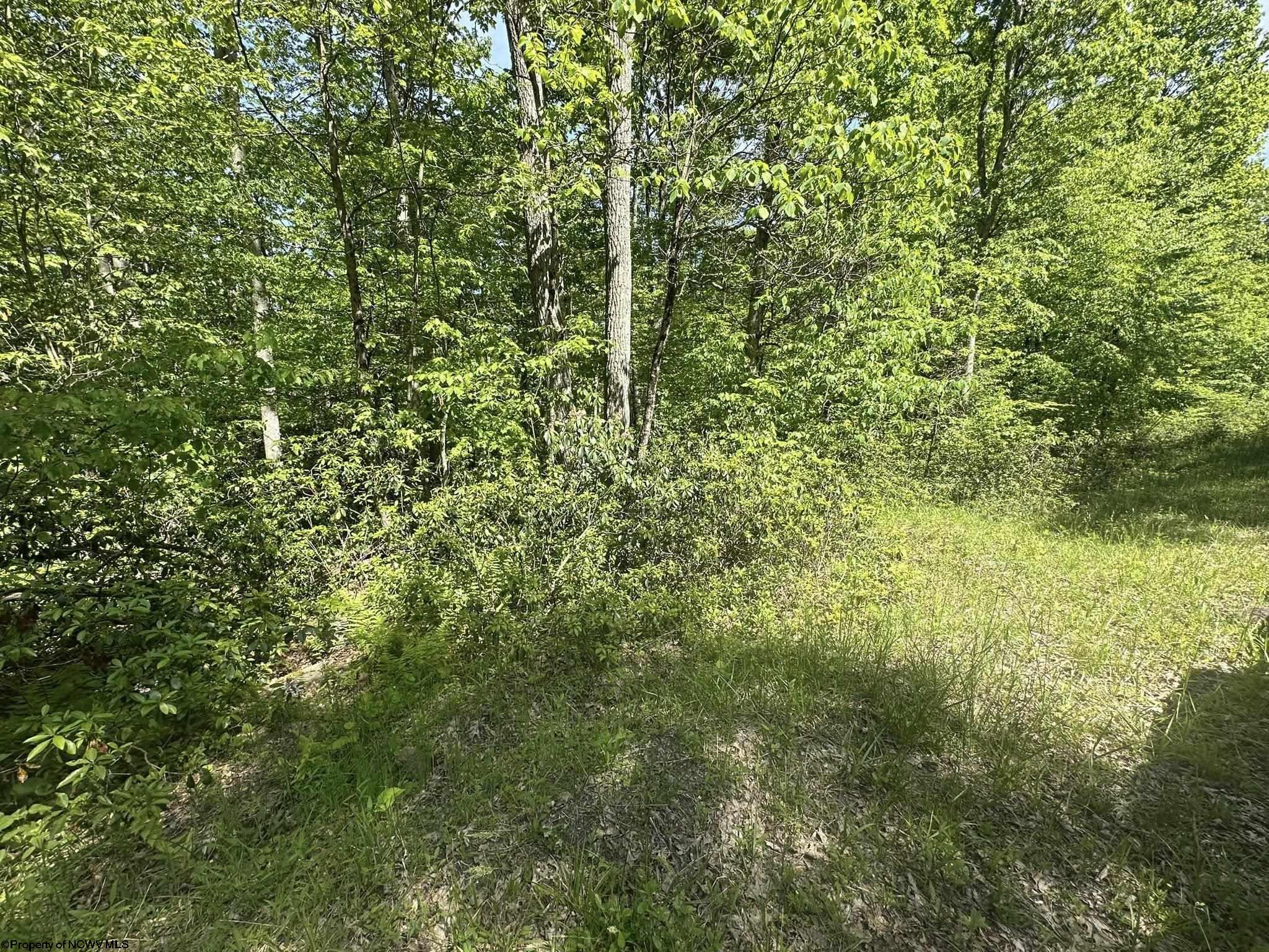 65 Pine Drive Terra Alta WV 26764