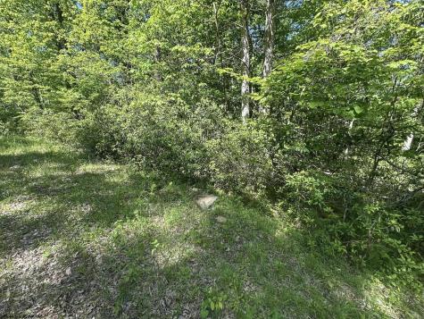 65 Pine Drive Terra Alta WV 26764
