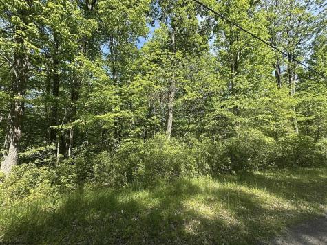 65 Pine Drive Terra Alta WV 26764