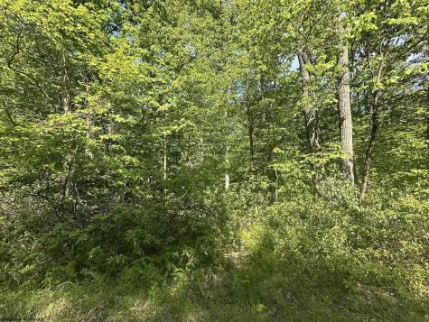 65 Pine Drive Terra Alta WV 26764