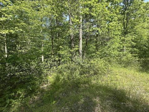65 Pine Drive Terra Alta WV 26764
