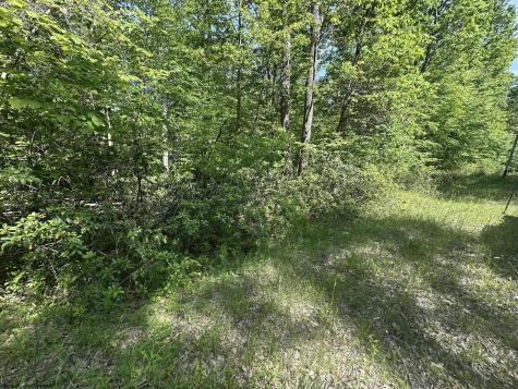 65 Pine Drive Terra Alta WV 26764