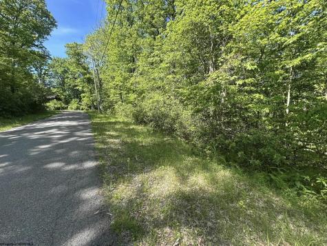 65 Pine Drive Terra Alta WV 26764