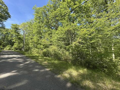 65 Pine Drive Terra Alta WV 26764