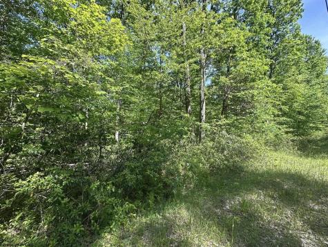 65 Pine Drive Terra Alta WV 26764