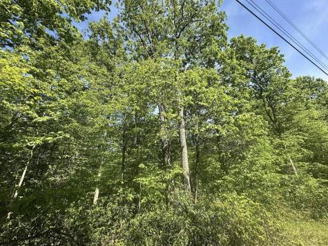 65 Pine Drive Terra Alta WV 26764