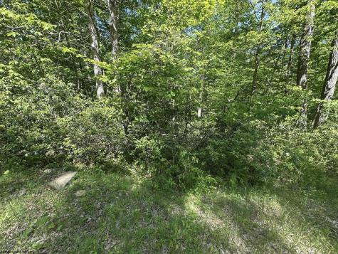 65 Pine Drive Terra Alta WV 26764