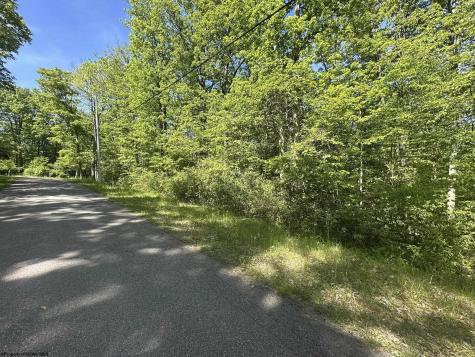 65 Pine Drive Terra Alta WV 26764