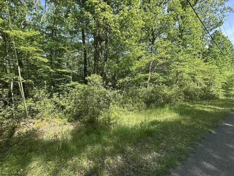 65 Pine Drive Terra Alta WV 26764