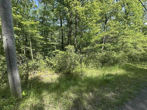 65 Pine Drive Terra Alta WV 26764