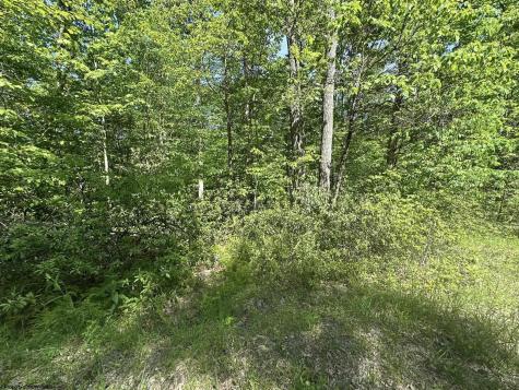 65 Pine Drive Terra Alta WV 26764
