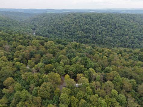 129 Grouse Run Road Bruceton Mills WV 26525