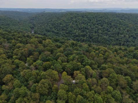 129 Grouse Run Road Bruceton Mills WV 26525