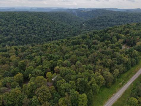 129 Grouse Run Road Bruceton Mills WV 26525
