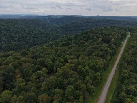 129 Grouse Run Road Bruceton Mills WV 26525