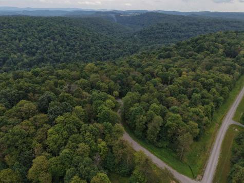 129 Grouse Run Road Bruceton Mills WV 26525