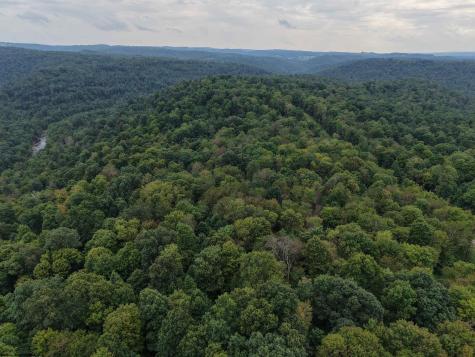 129 Grouse Run Road Bruceton Mills WV 26525