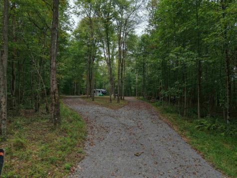 129 Grouse Run Road Bruceton Mills WV 26525