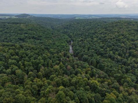 129 Grouse Run Road Bruceton Mills WV 26525