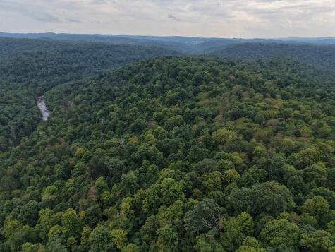 129 Grouse Run Road Bruceton Mills WV 26525