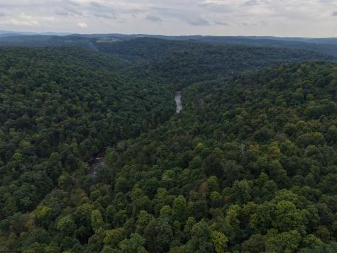 129 Grouse Run Road Bruceton Mills WV 26525