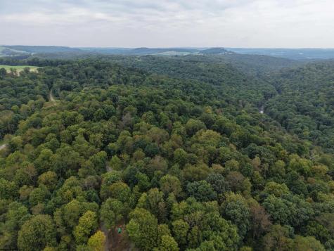 129 Grouse Run Road Bruceton Mills WV 26525