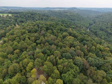129 Grouse Run Road Bruceton Mills WV 26525