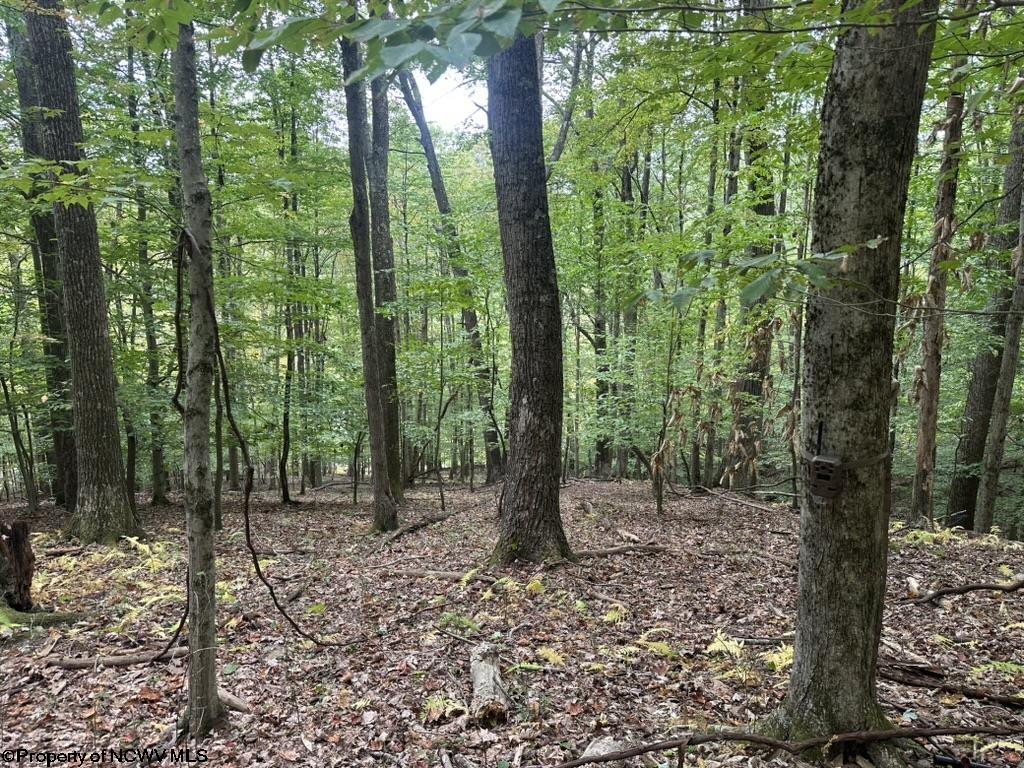 0 Racoon Run Elkins WV 26241