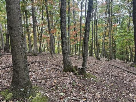 0 Racoon Run Elkins WV 26241