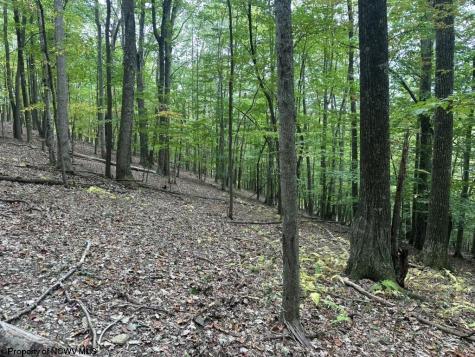 0 Racoon Run Elkins WV 26241