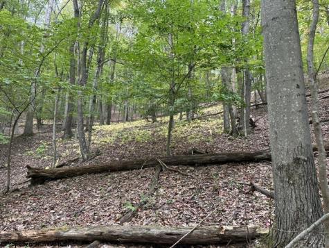 0 Racoon Run Elkins WV 26241