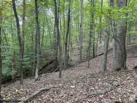 0 Racoon Run Elkins WV 26241