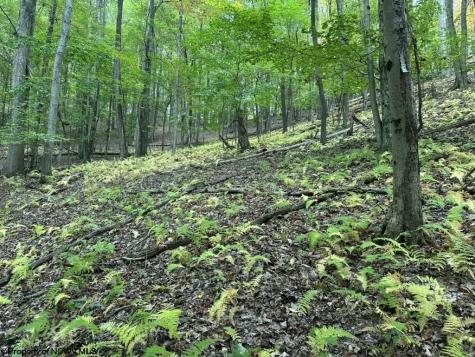 0 Racoon Run Elkins WV 26241
