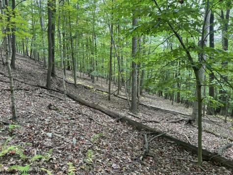 0 Racoon Run Elkins WV 26241